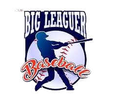Big Leaguer Baseball