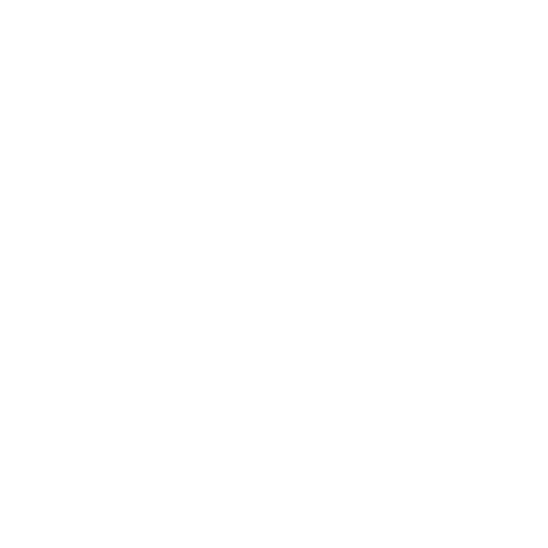 A.P. Performance Training