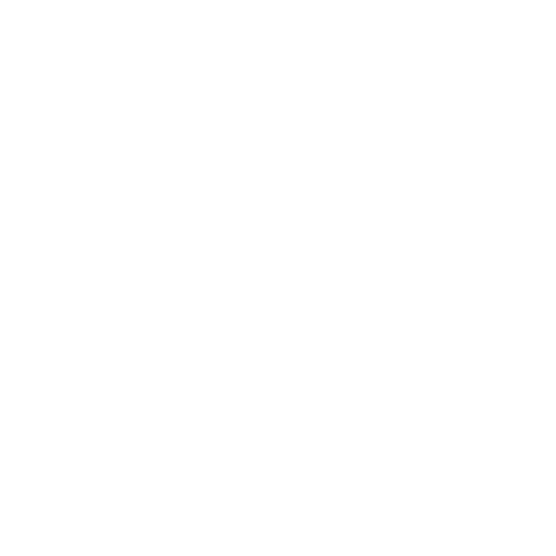 Dublin United Basketball Stars