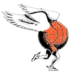 Slam-N-Jam Valley Basketball