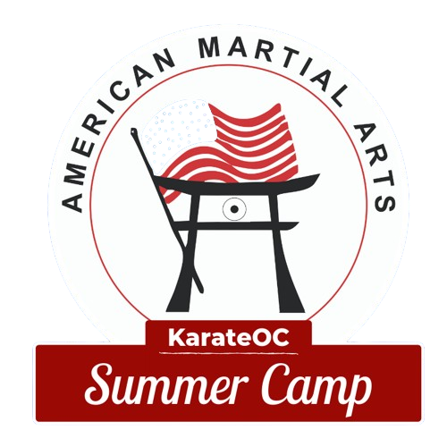 American Martial Arts Academy