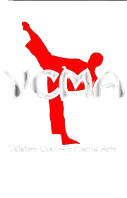 VCMA Villatoro Champion Martial Arts