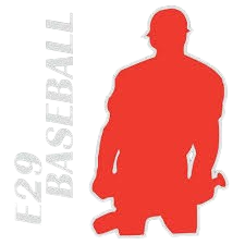 E29 BASEBALL