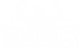 Toy Solier Training
