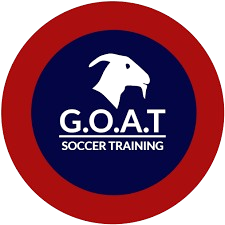 Goat Soccer Training
