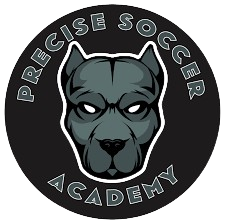 Precise Soccer Academy