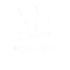Pure Game Hoops