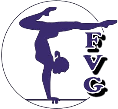 Farmington Valley Gymnastics & More