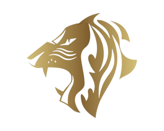 3 Lions Goalkeeper Academy