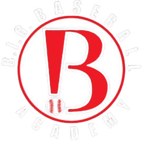 B.I.G. Baseball Academy