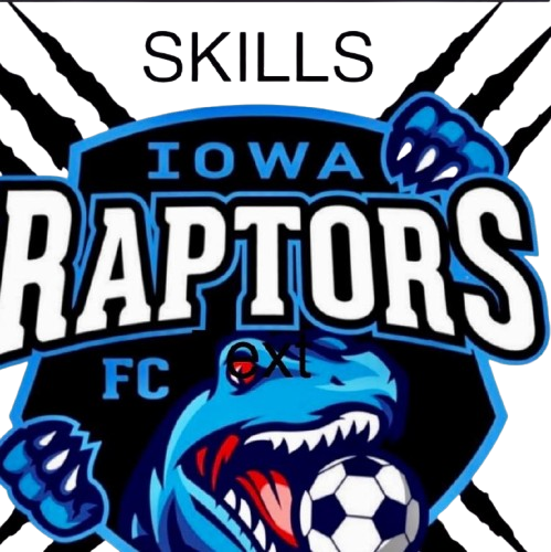 Iowa Raptors Skills Training