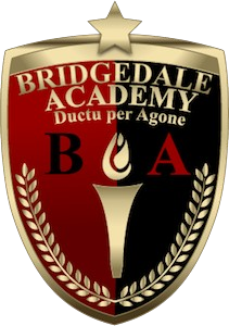 Bridgedale Academy 