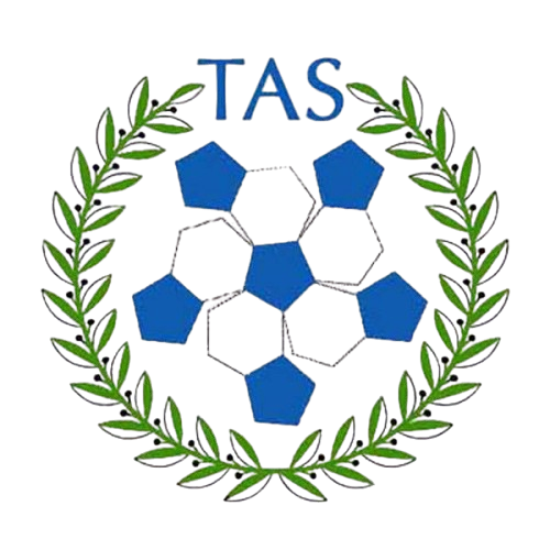 The Art of Soccer
