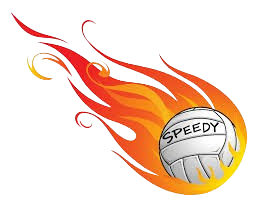 Speedy Volleyball