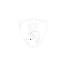 Twin Cities Goalkeeping
