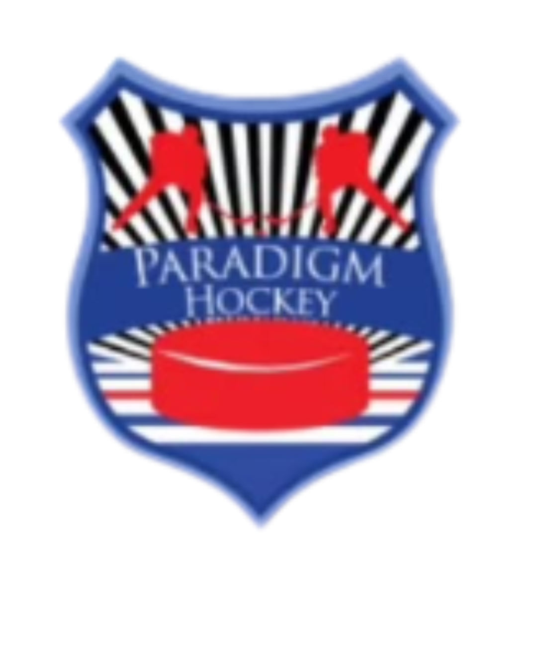 Paradigm Hockey