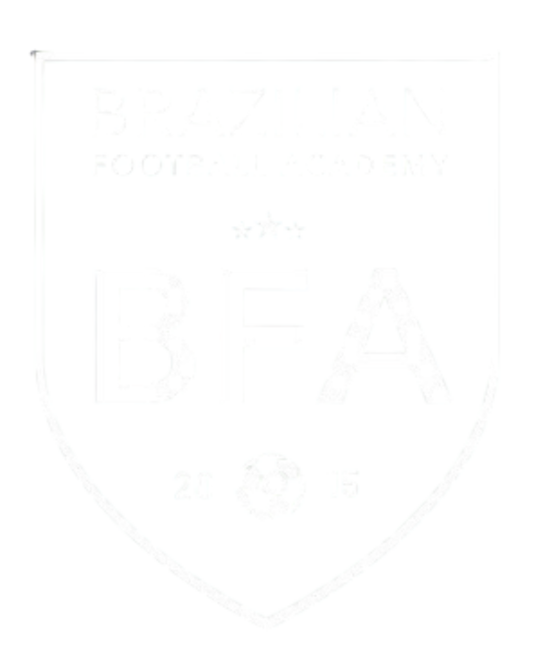 Brazilian Football Academy