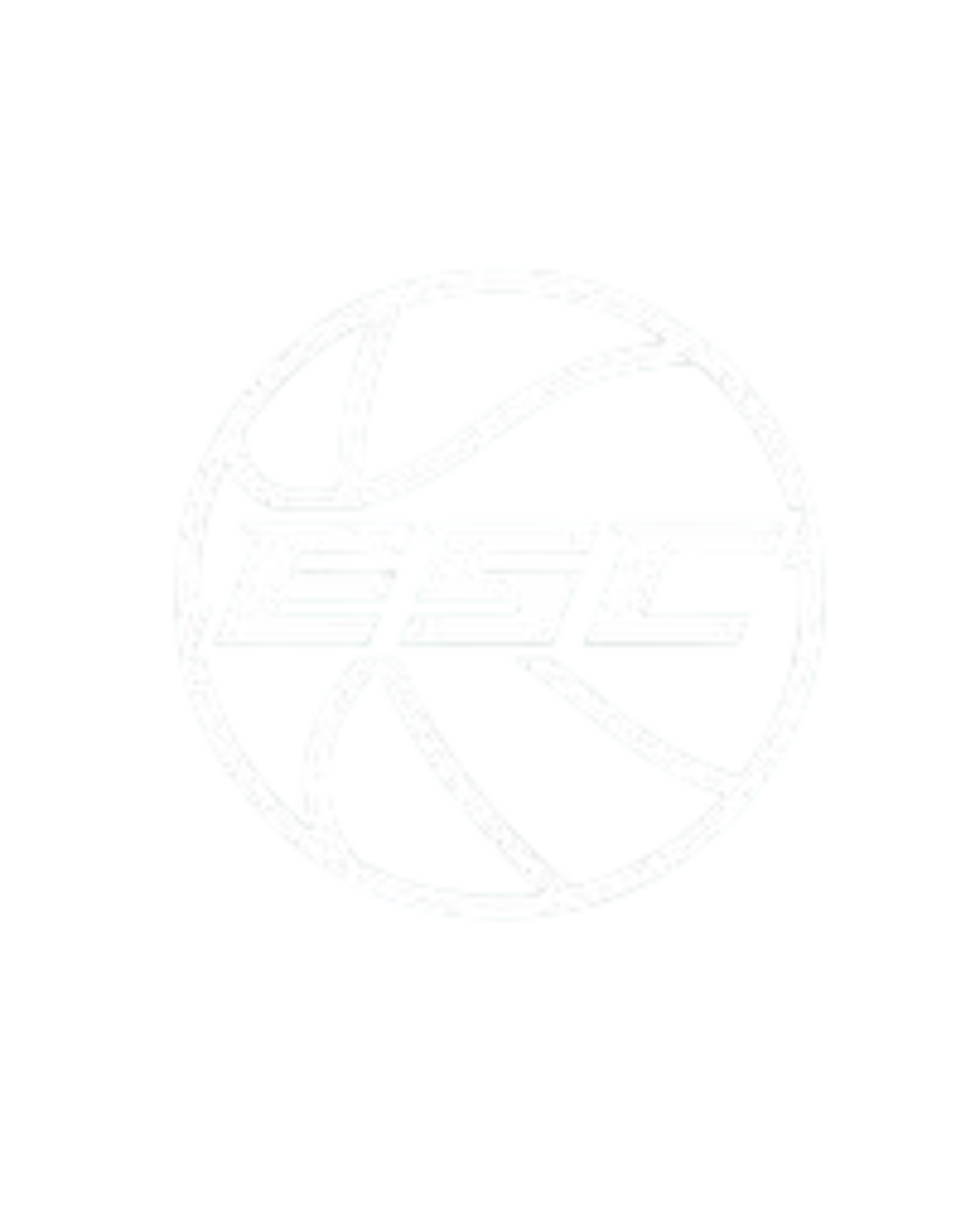ESC Basketball