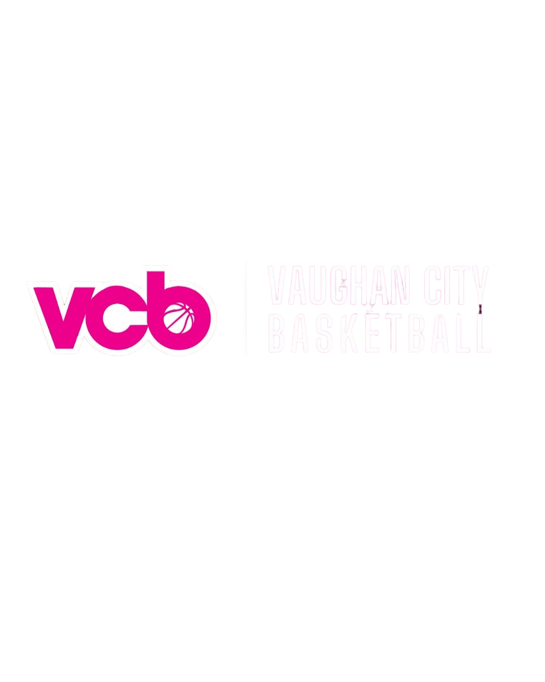 Vaughan City Basketball