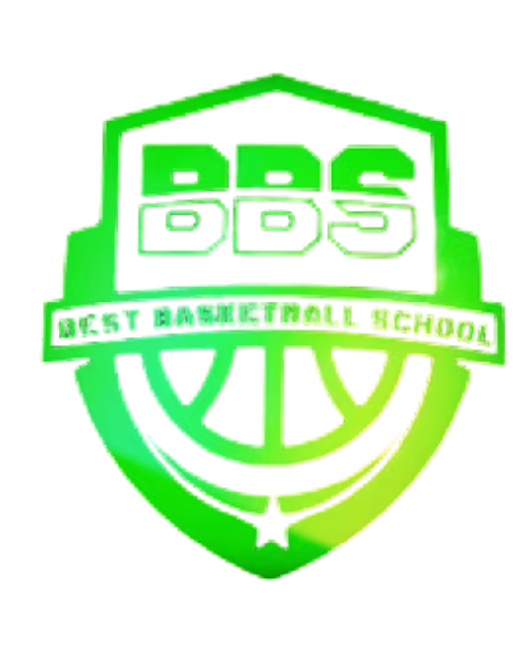 Best Basketball School