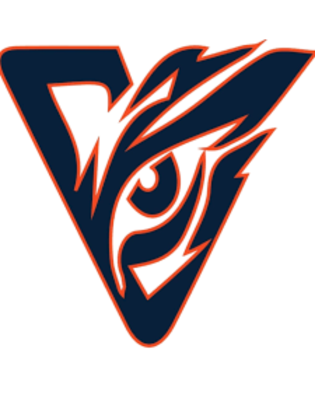 VISIONS SELECT BASEBALL