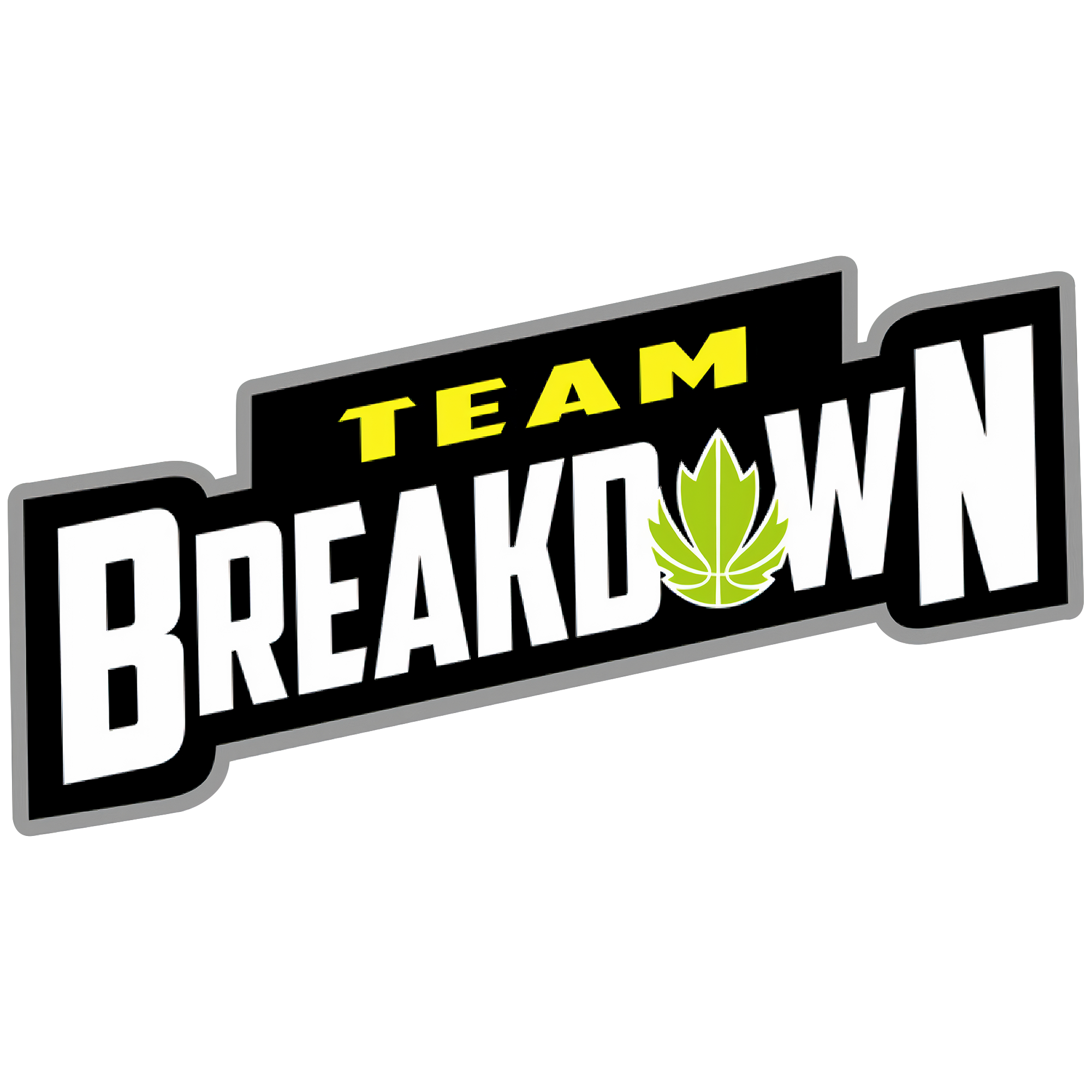 Team Breakdown