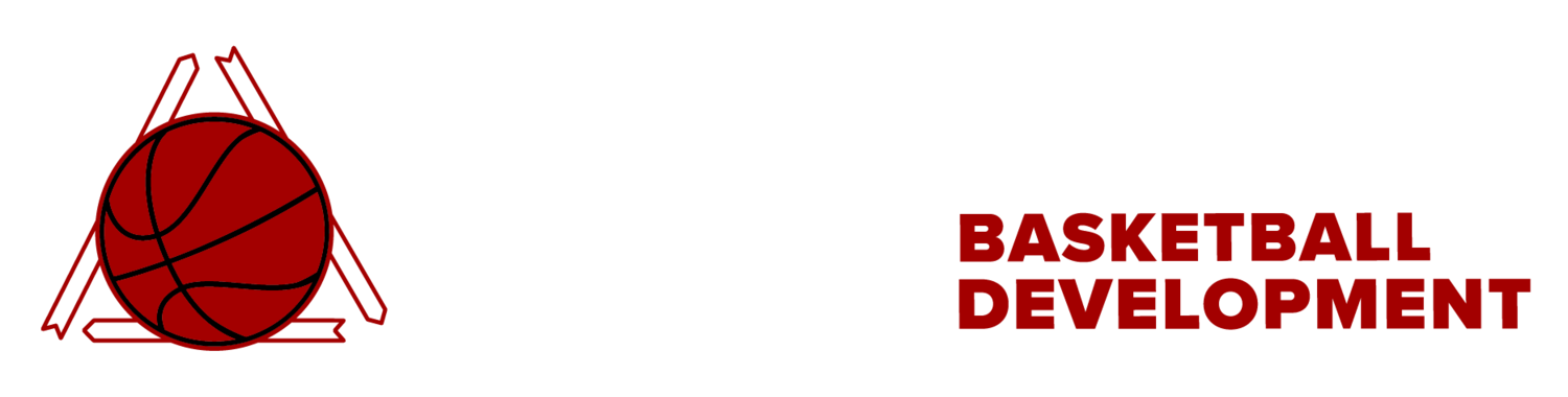 Niagara Apex Basketball