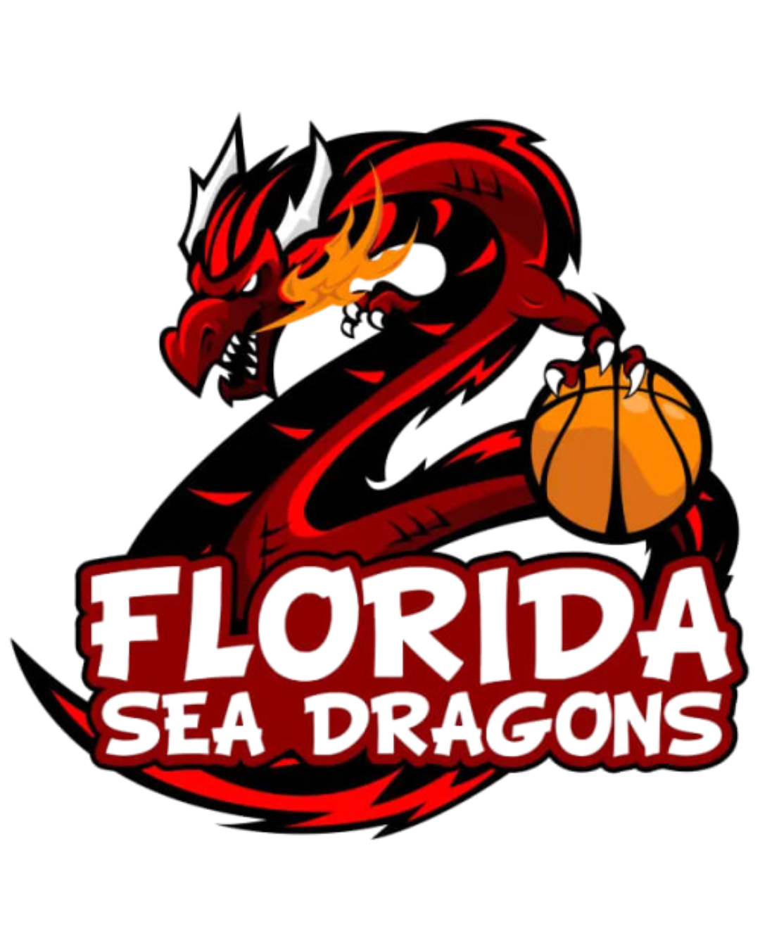 Florida Sea Dragons