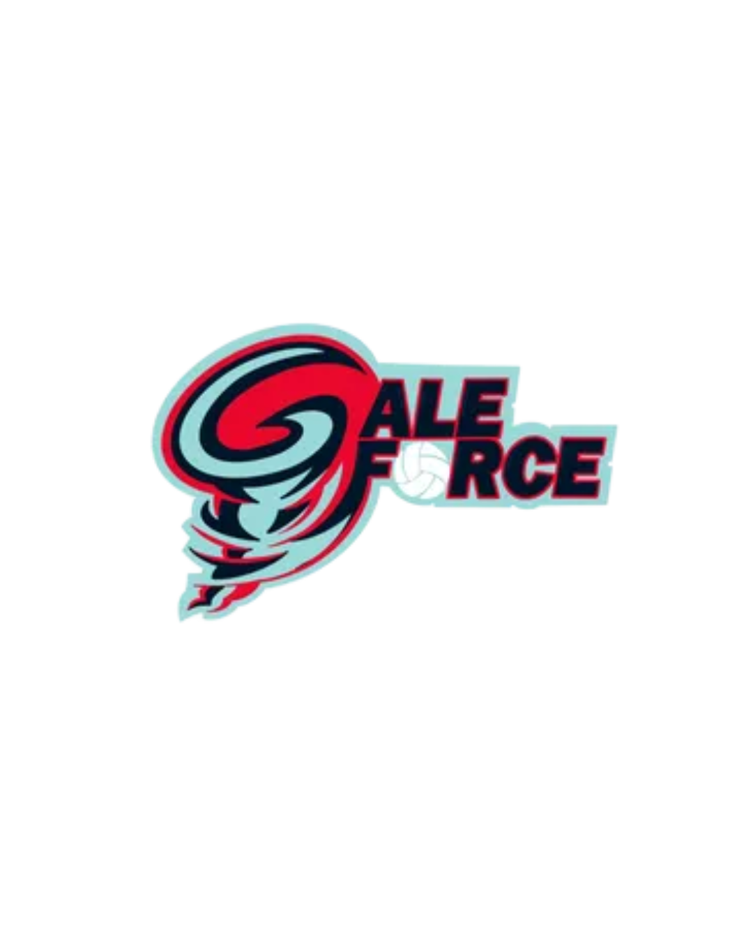 Gale Force Volleyball