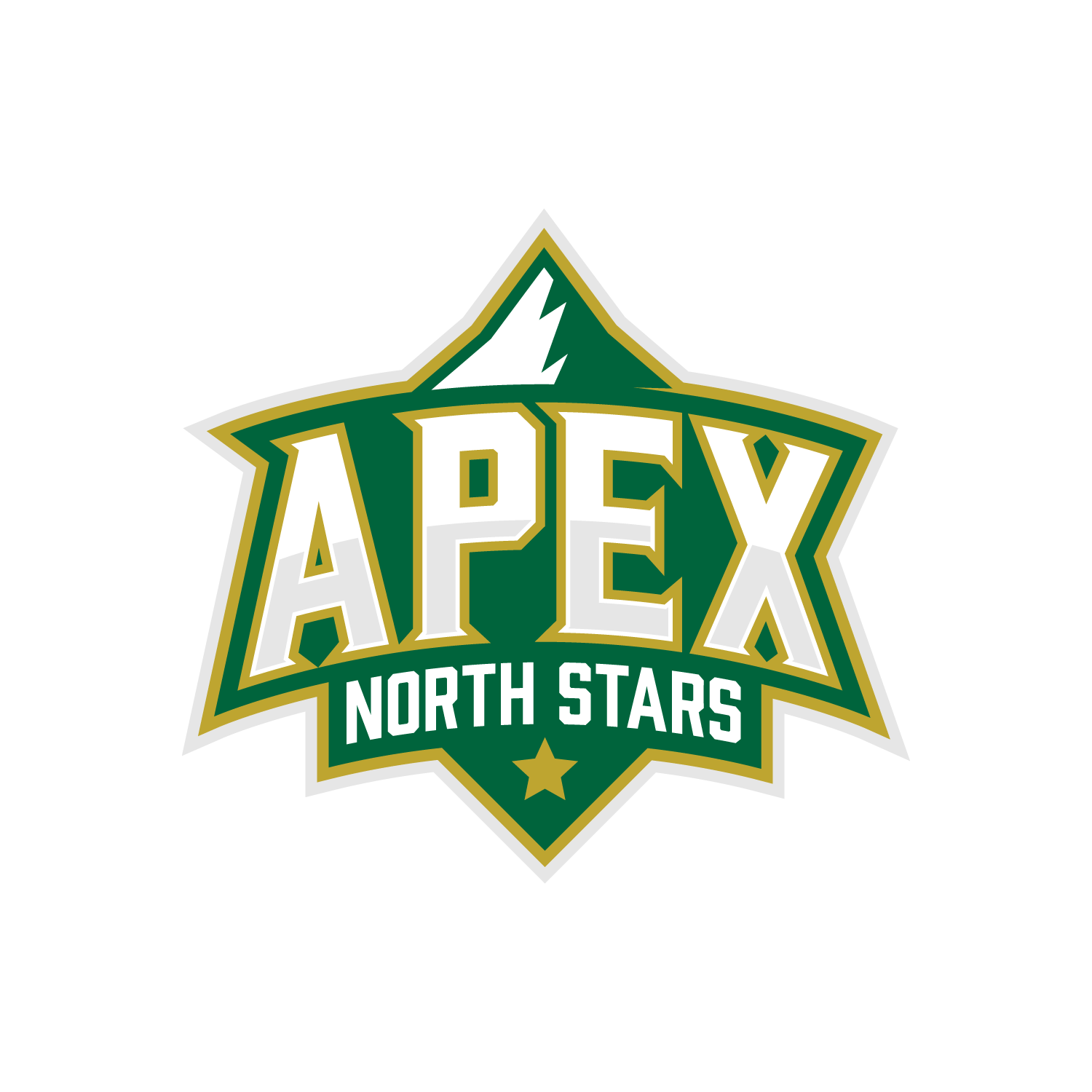 Apex Hockey Company