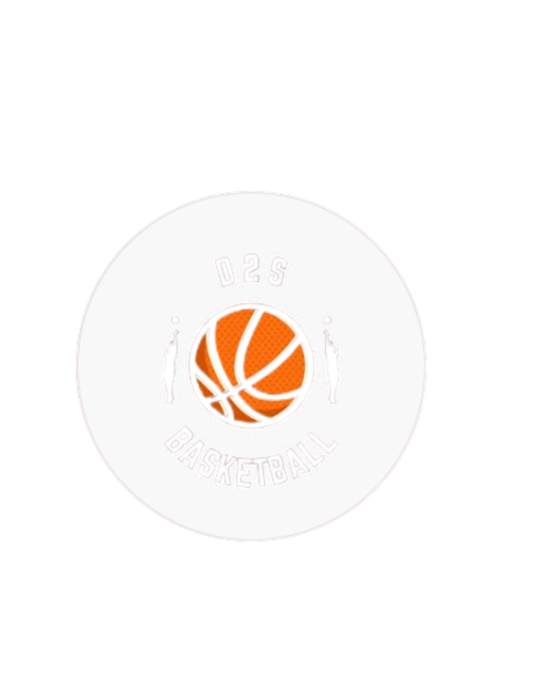 D2S Basketball 