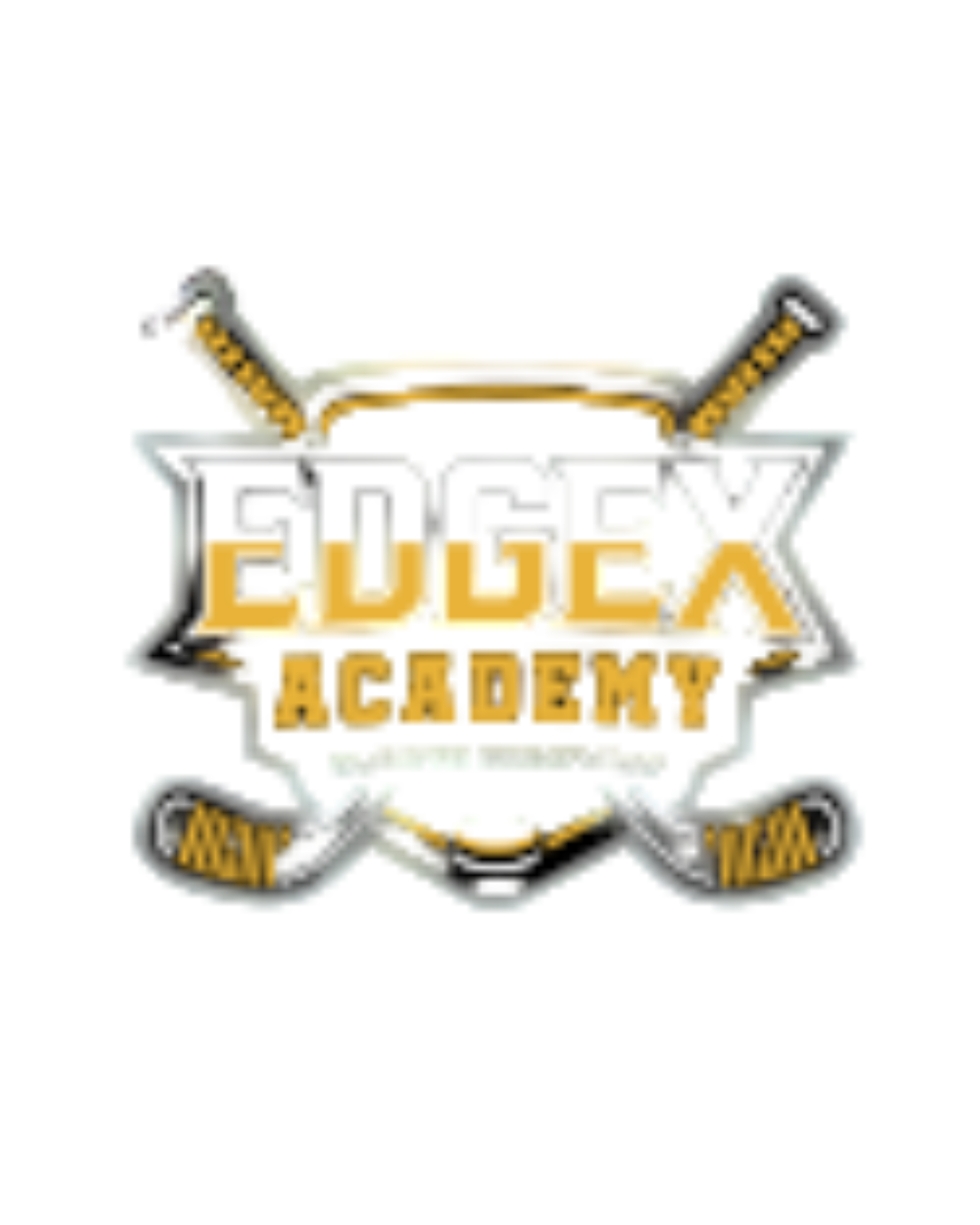 Edge X Academy
