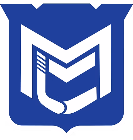 MC Hockey Skills