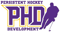 Persistent Hockey Development
