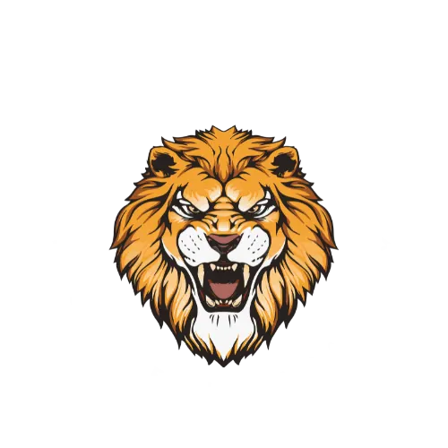 Lions Basketball Academy