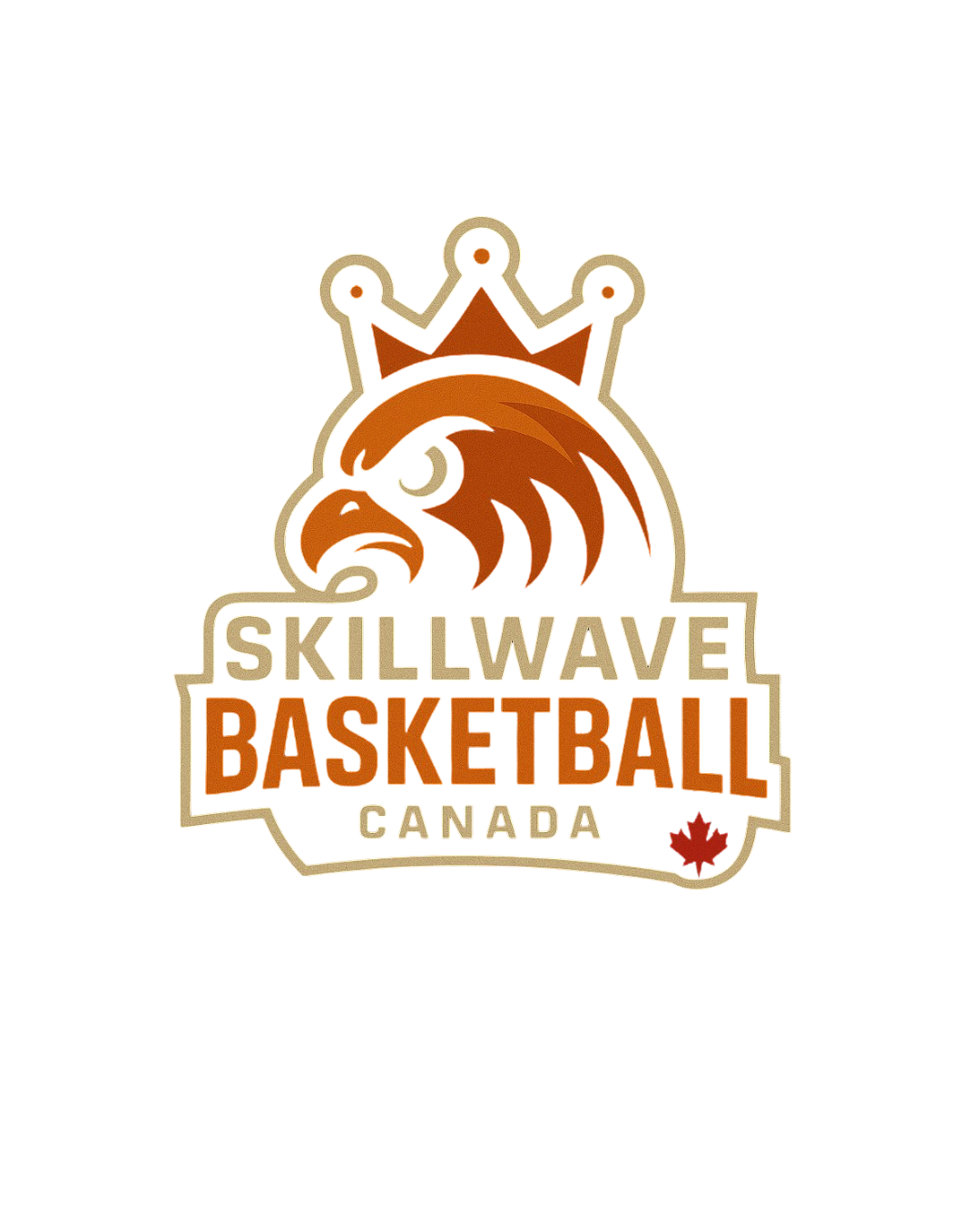 SkillWave Basketball
