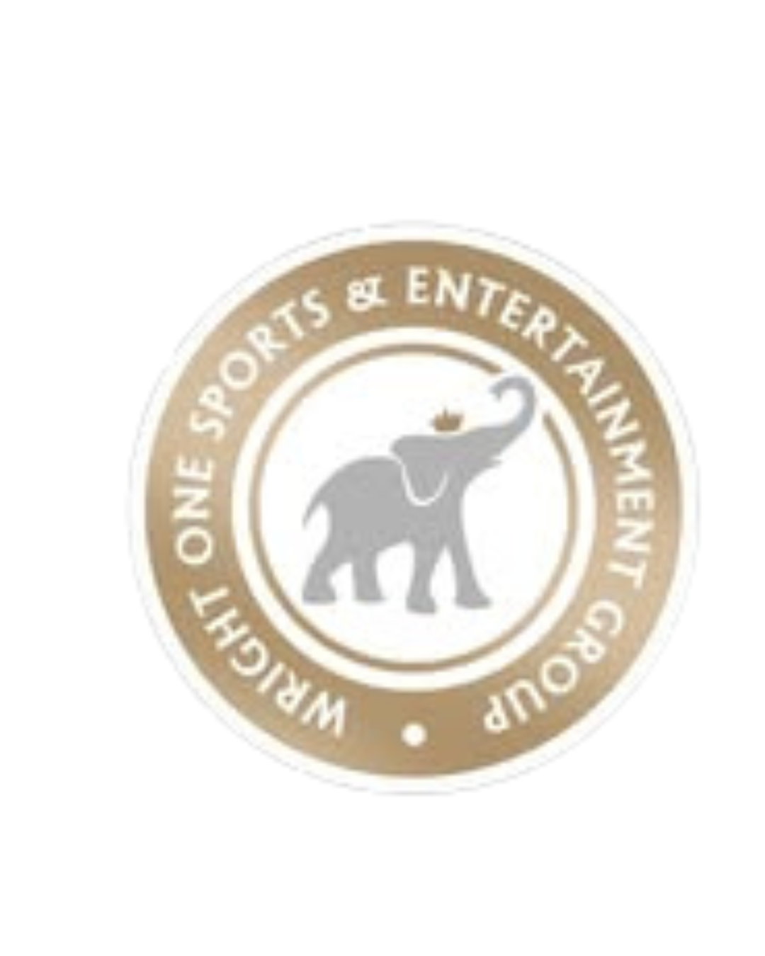Wright One Sports & Media Group