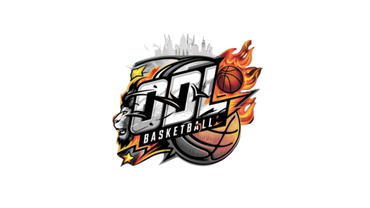 Dream Lions Basketball Academy