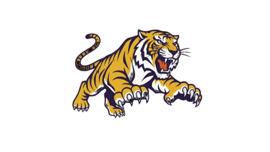 Lemoore Tigers Girls Basketball