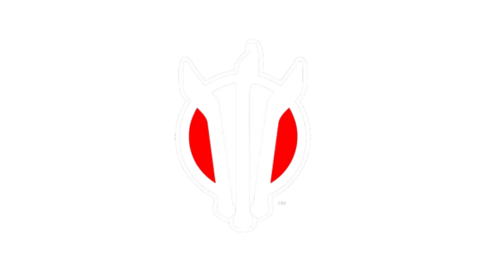 Bronko Hockey