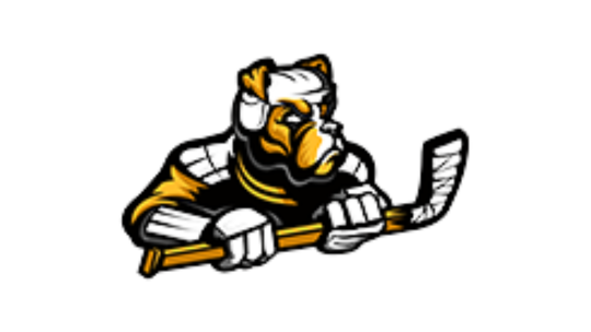 RB Hockey