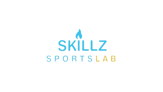 Skillz Basketball Lab Inc.