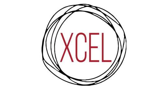 XCEL Hockey