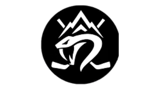 Viper Sports Performance Group