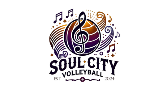 Soul City Volleyball