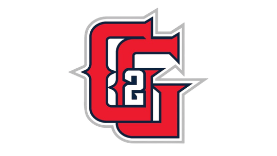 Gap to Gap Baseball Academy